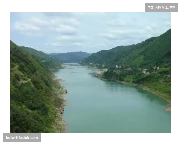 多特蒙德球迷震撼巨幅TIFO亮相深情致敬球队辉煌历史传承精神